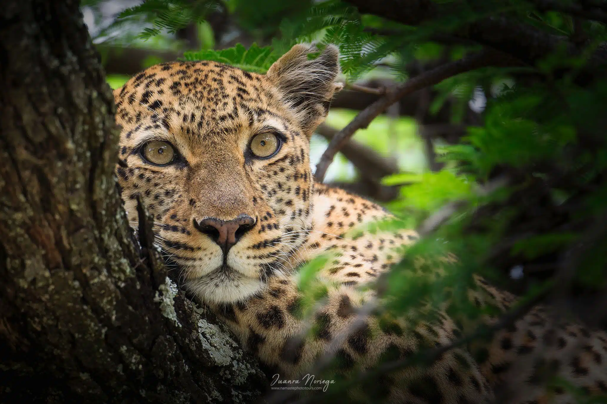 Tanzania5